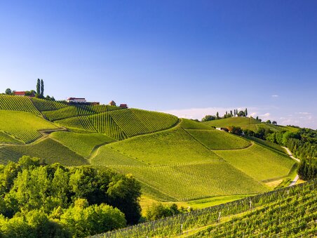 Südsteirische Weinstraße  - Impression #3 | © Steiermark Tourismus/Harry Schiffer