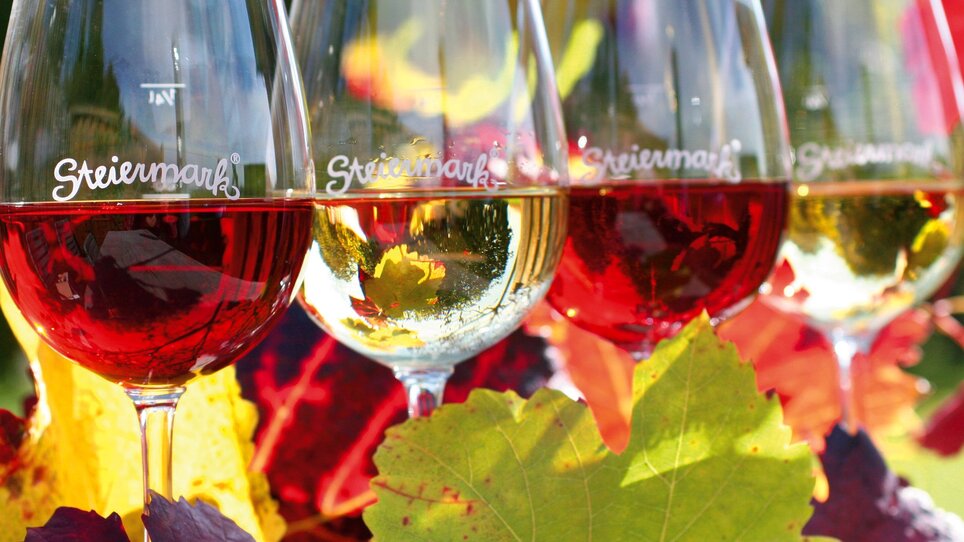 Präsentation des Steirischen Weins 2026 in Graz - Impression #5 | © Steiermark Tourismus/Harry Schiffer