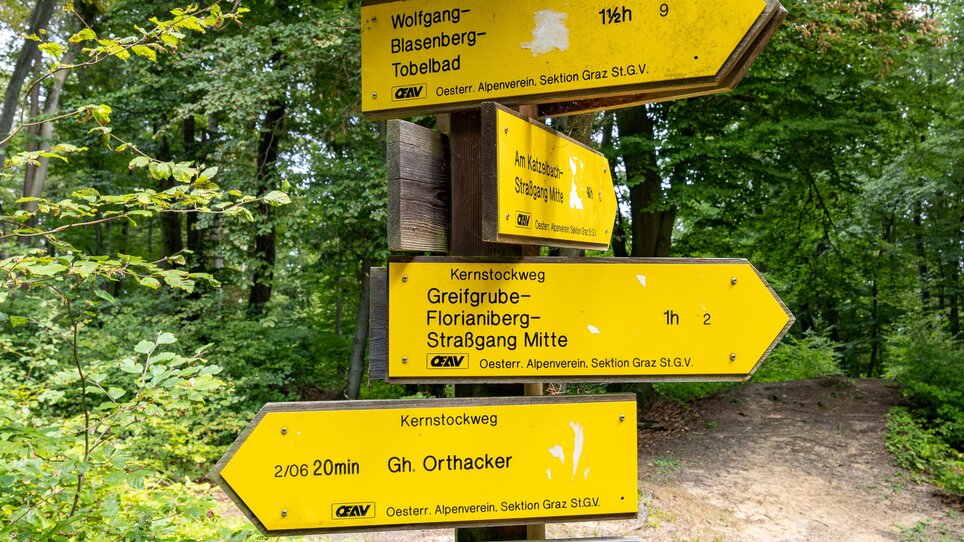 Signpost in the forest showing various hiking destinations and times. | © Graz Tourismus