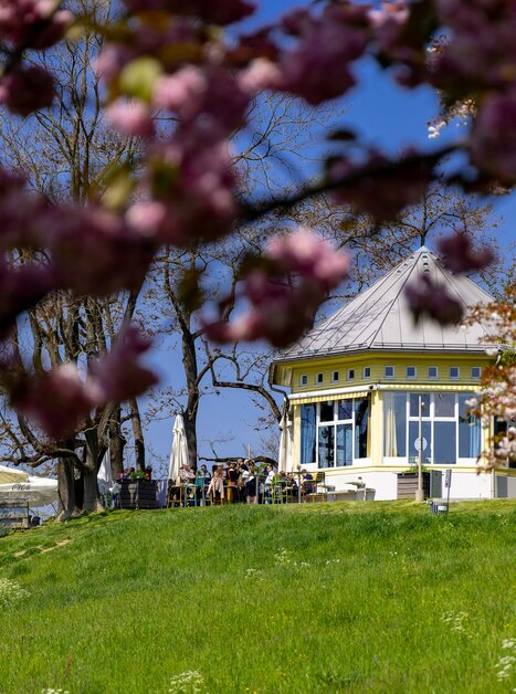 Ein Pavillon umgeben von blühenden Bäumen und grünem Gras am Grazer Rosenhain.
