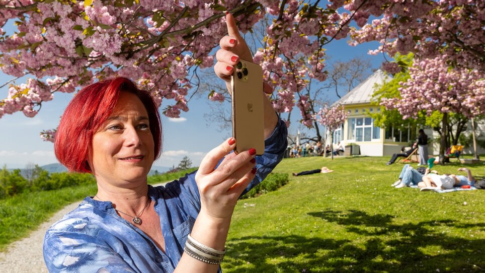 Frau mit rotem Haar macht Foto unter blühendem Kirschbaum am Rosenhain in Graz.