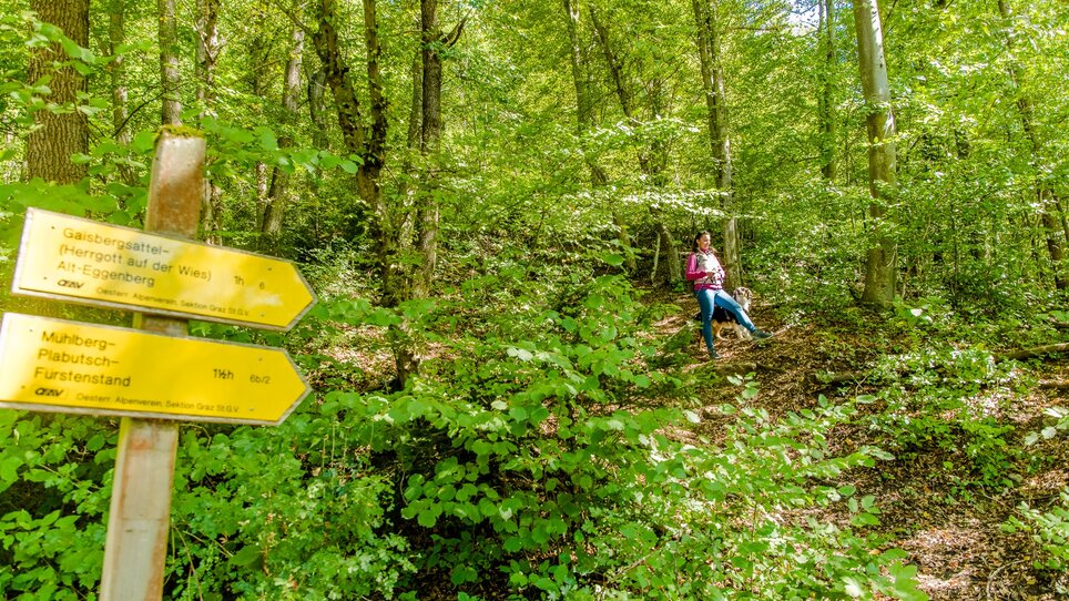 Unterwegs zum Fürstenstand | © Graz Tourismus