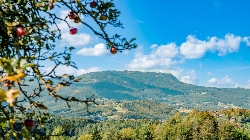 Blick auf den Schöckl | © Graz Tourismus