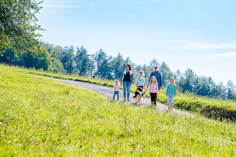 Spaziergang: Grenzenlos: Zwischen dem Schaf- und Stiftingtal I Wandern & Spazieren in Graz | © Graz Tourismus Eine Familie spaziert mit Kindern und Hund auf einem Weg im Grünen. | © Graz Tourismus