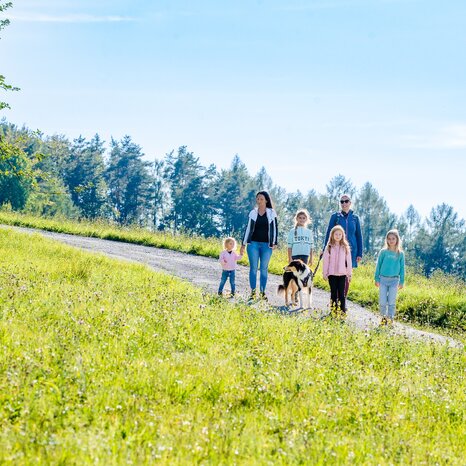 Eine Familie spaziert mit Kindern und Hund auf einem Weg im Grünen. | © Graz Tourismus