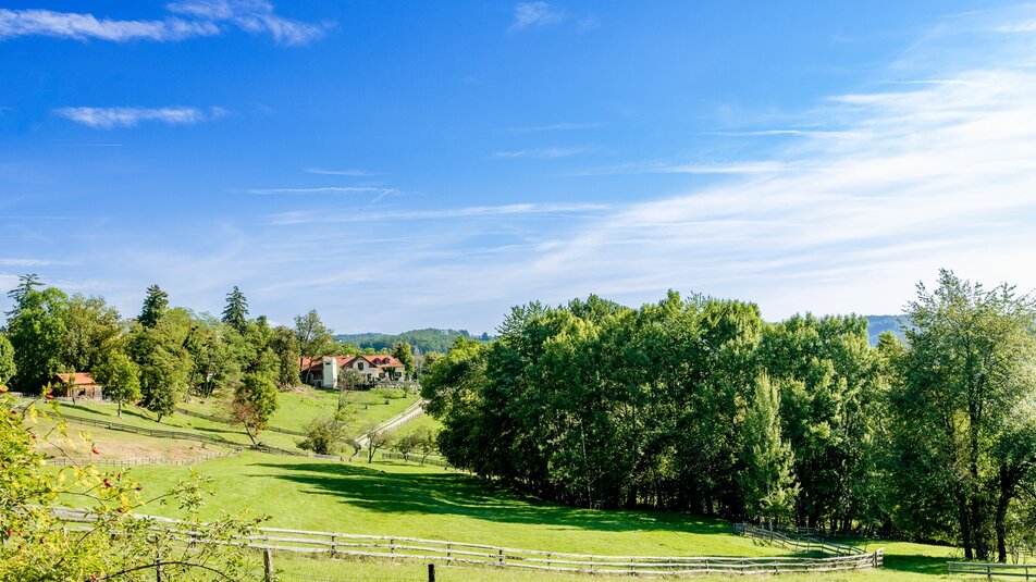 Landscape with meadow and trees near Graz. | © Graz Tourismus