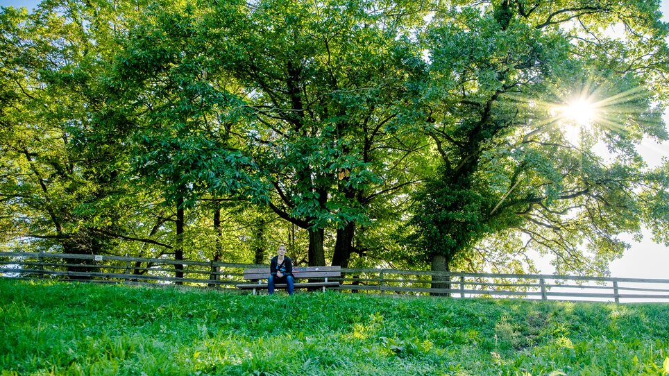 A person sits on a bench under large trees in sunlight. | © Graz Tourismus
