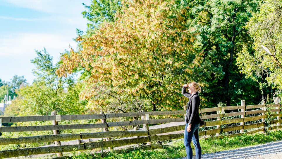 A person enjoys a walk in nature, surrounded by trees and a wooden fence. | © Graz Tourismus