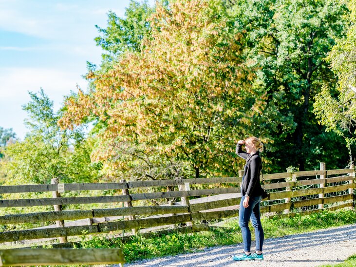 Eine Person genießt einen Spaziergang in der Natur, umgeben von Bäumen und einem Holzzaun. | © Graz Tourismus