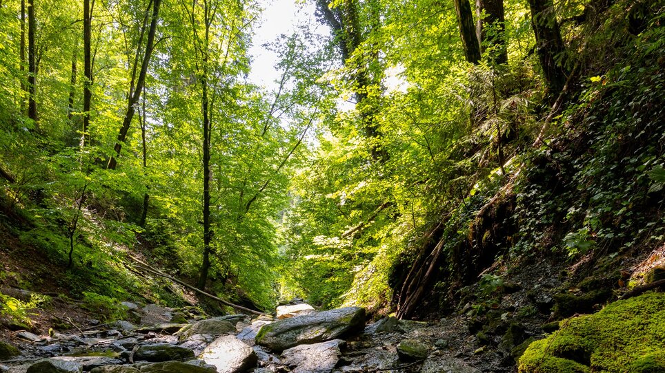 Idyllic waterway with green forest and rocks. | © Graz Tourismus
