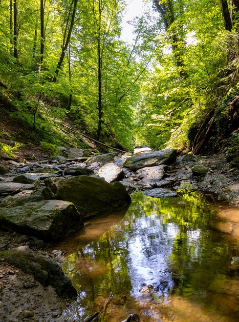 die malerische Rettenbachklamm | © Graz Tourismus