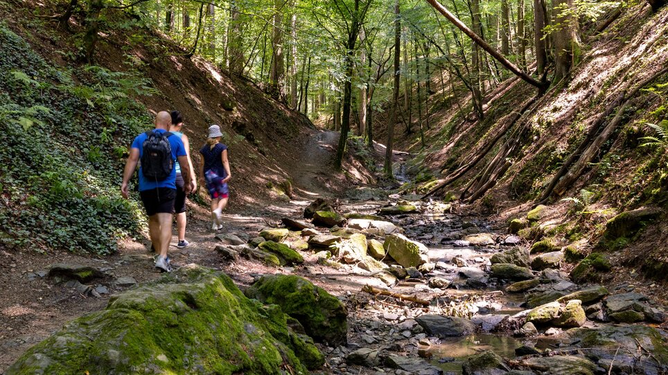 Two hikers exploring the Rettenbach gorge, surrounded by lush forest. | © Graz Tourismus
