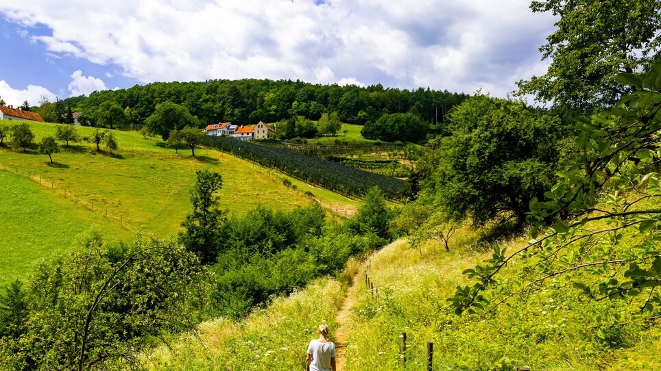 A hiker on a path in a green landscape with hills and clouds. | © Graz Tourismus