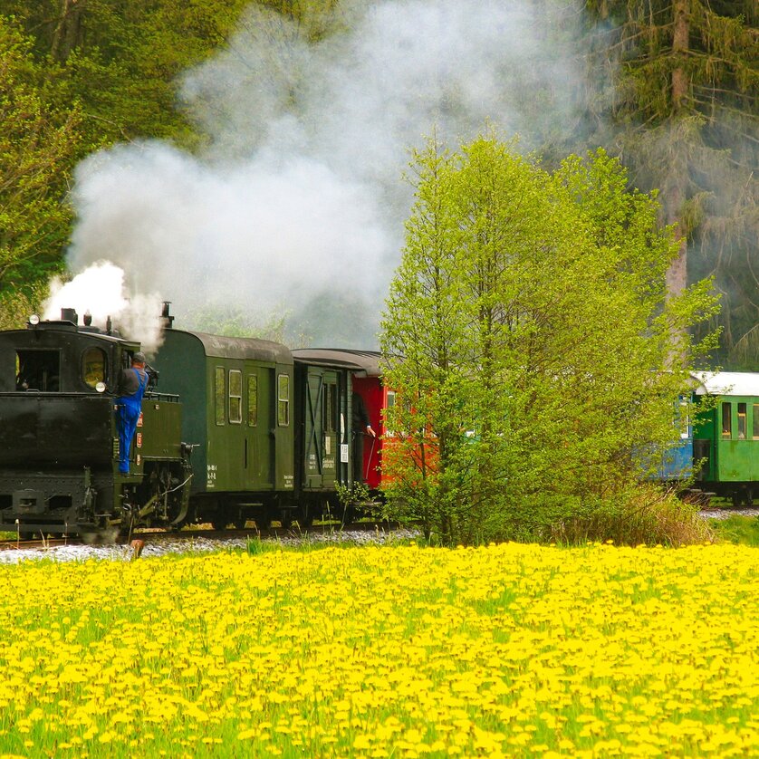 © TV Schilcherland-Stainz-Reinischkogel Il treno delle bottigliette - Impression #1 | © TV Schilcherland-Stainz-Reinischkogel