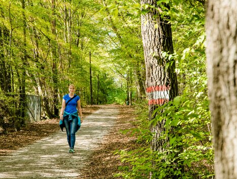 Unterwegs im Lechwald | © Graz Tourismus