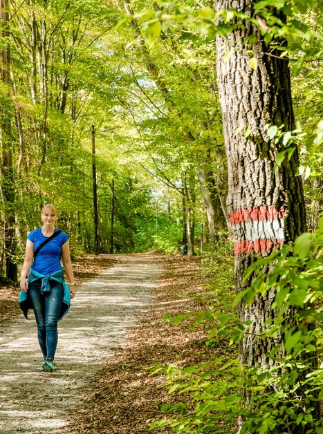 Unterwegs im Lechwald | © Graz Tourismus
