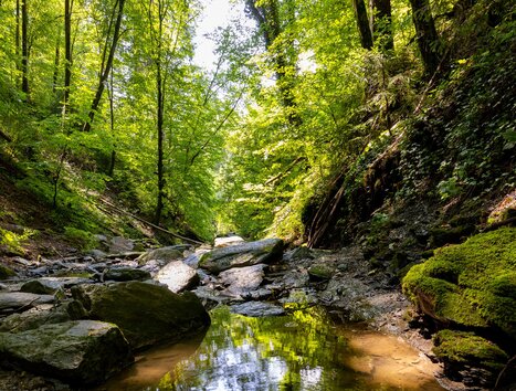 die malerische Rettenbachklamm | © Graz Tourismus