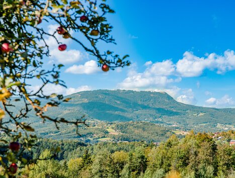 Blick auf den Schöckl | © Graz Tourismus