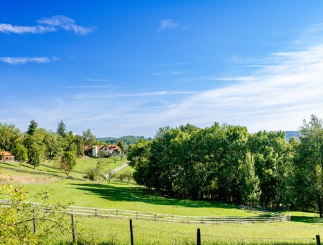 Unterwegs am Lustbühel | © Graz Tourismus