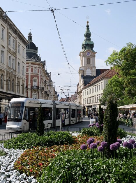 Eine Straßenbahn in Graz mit der Stadtpfarrkirche im Hintergrund und blühenden Blumen im Vordergrund. | © Jasminka Putopis