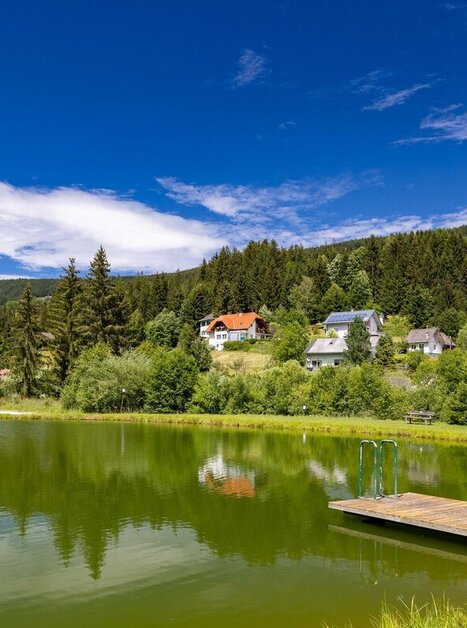 © TV Region Graz - Harry Schiffer