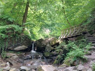 Foresta verde con piccolo ponte e acqua che scorre. | © Graz Tourismus Information