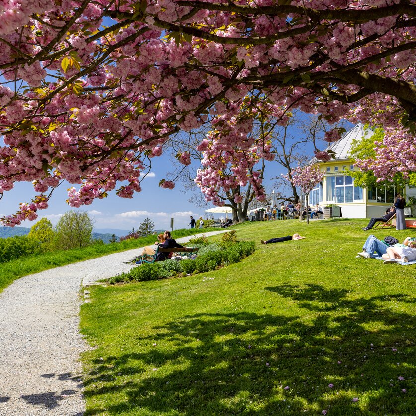 Rosenhain - Mariagrün | © Graz Tourismus - Harry Schiffer Rosenhain - Mariagrün | © Graz Tourismus - Harry Schiffer