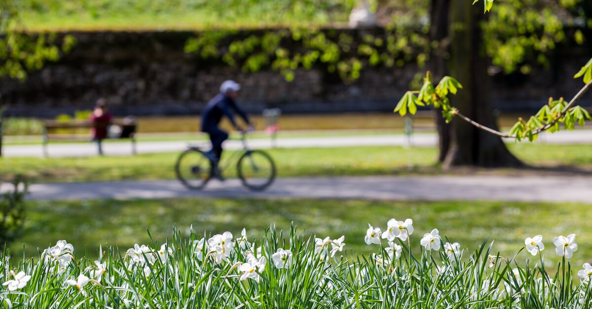 Tag des Sports