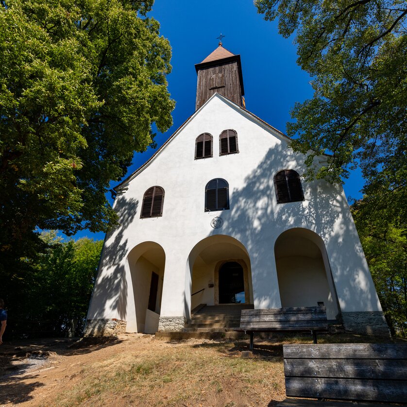 Der Weg ist das Ziel -  Den Buchkogel erwandern | © Graz Tourismus - Harry Schiffer