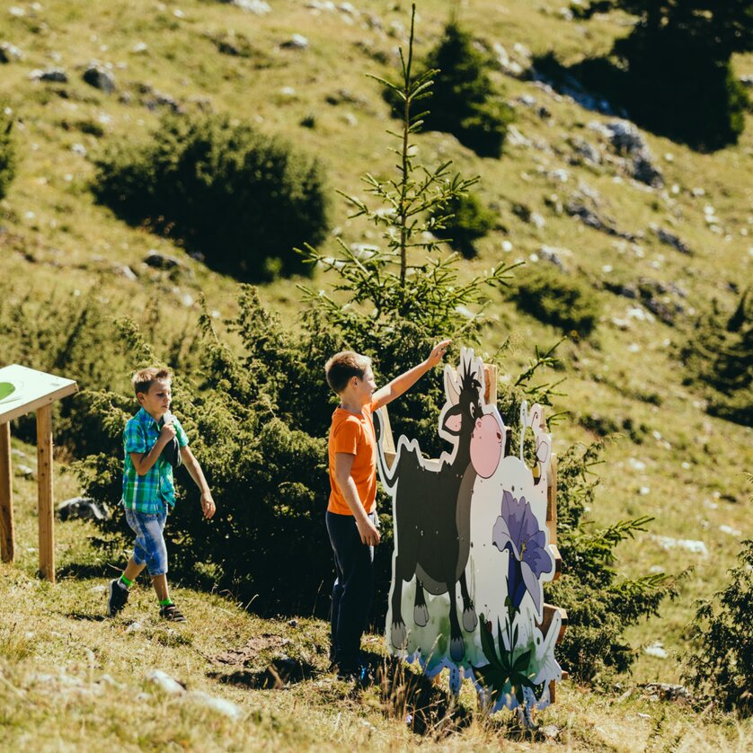 Naturspieleweg am Schöckl | © Lupi Spuma Naturspieleweg am Schöckl | © Lupi Spuma
