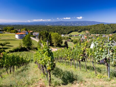 Vista di vigneti e paesaggio vicino a Graz. | © Graz Tourismus - Harry Schiffer
