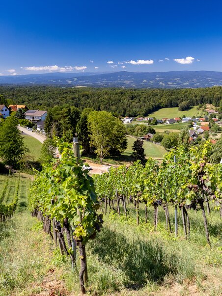 Blick auf Weinberge und Landschaft bei Graz. | © Graz Tourismus - Harry Schiffer