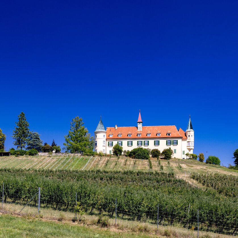 Hike: The Journey is the reward - Hiking Buchkogel | © Graz Tourismus - Harry Schiffer A castle and a church surrounded by vineyards and blue sky. | © Graz Tourismus - Harry Schiffer