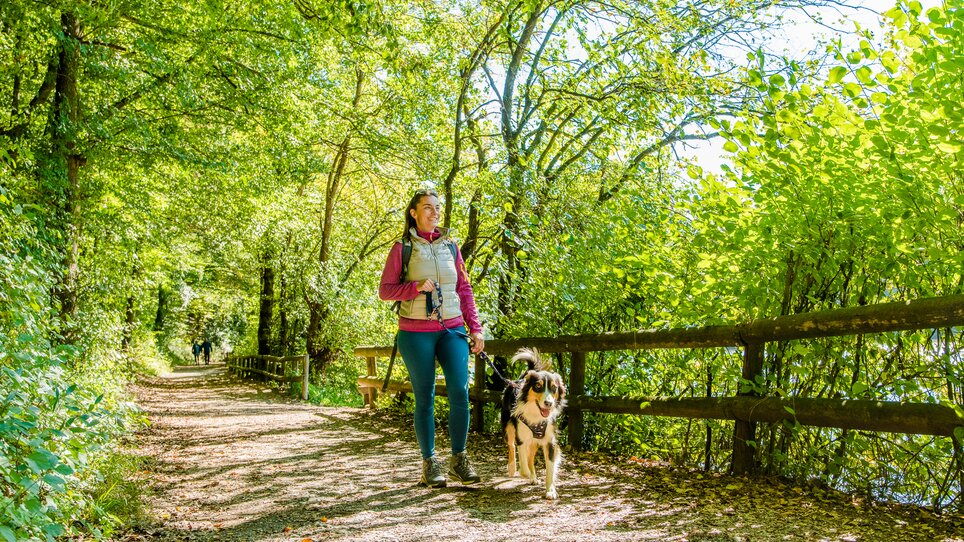 Eine Frau spaziert mit ihrem Hund auf einem schattigen Weg zwischen Bäumen. | © Graz Tourismus - Mias Photoart