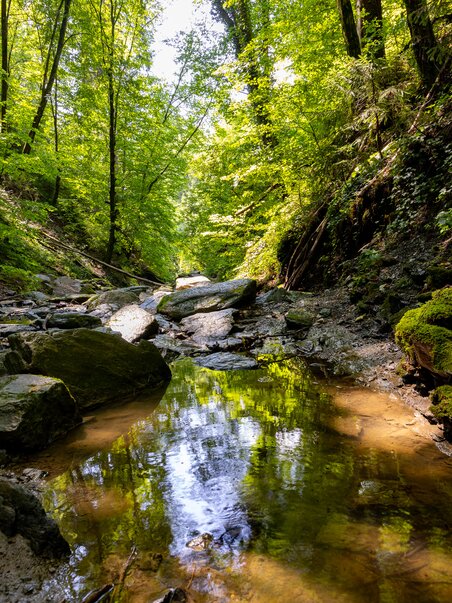 A tranquil stream surrounded by green trees and rocks. | © Graz Tourismus - Harry Schiffer