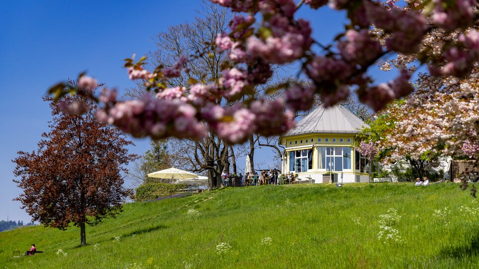 Ein idyllischer Blick auf Pavillon umgeben von blühenden Bäumen. | © Graz Tourismus - Harry Schiffer