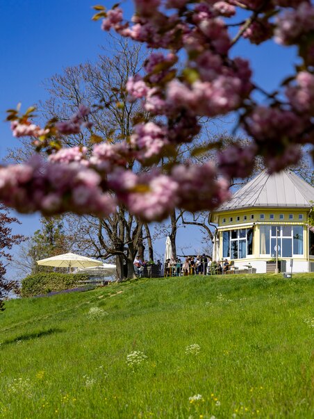 A scenic view of a pavilion surrounded by blooming trees. | © Graz Tourismus - Harry Schiffer