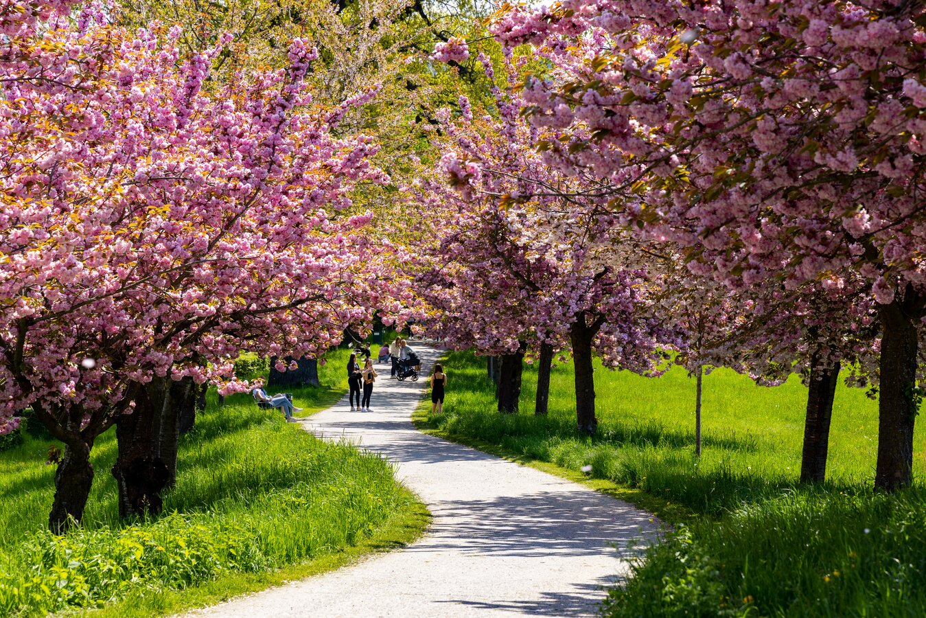 Rosenhain Sehenswürdigkeiten in Graz