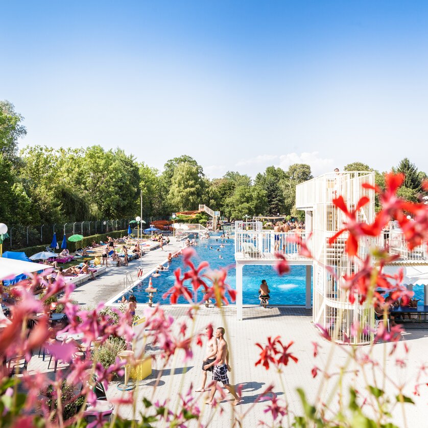 Sommer im Augartenbad Graz | © Holding Graz - Joel Kernasenko Blick auf das Augartenbad Graz mit vielen Besuchern und bunten Liegen. | © Holding Graz - Joel Kernasenko
