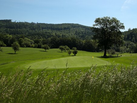 Ansicht eines Golfplatzes im Grazer Golfclub Thalersee, umgeben von Bäumen. | © GEPA-pictures - Murhof Gruppe