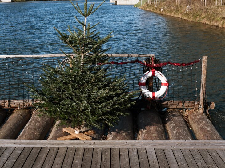 Christmas tree and lifebuoy on a raft on the banks of the Mur in Graz. | © LippZahnschirm