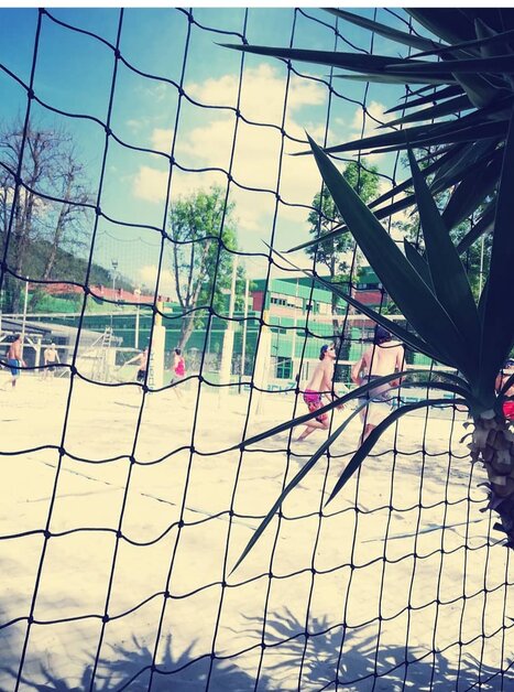 Beach volleyball game in Graz with net and palms. | © Mur Beach - Ingo Gruber