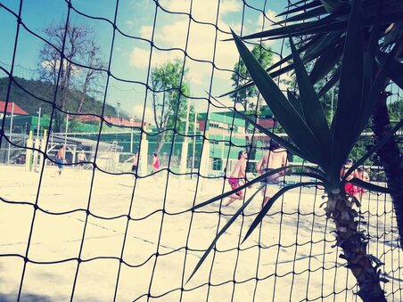 Beach volleyball game in Graz with net and palms. | © Mur Beach - Ingo Gruber