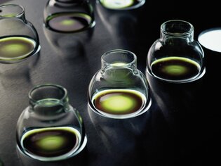 A row of transparent glasses filled with Styrian pumpkin seed oil. | © Steiermark Tourismus