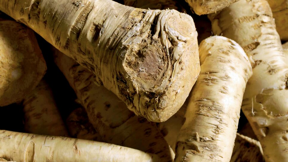 Styrian horseradish | © GenussRegion Österreich