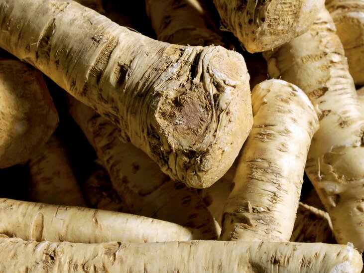 A pile of fresh horseradish roots on a table. | © GenussRegion Österreich