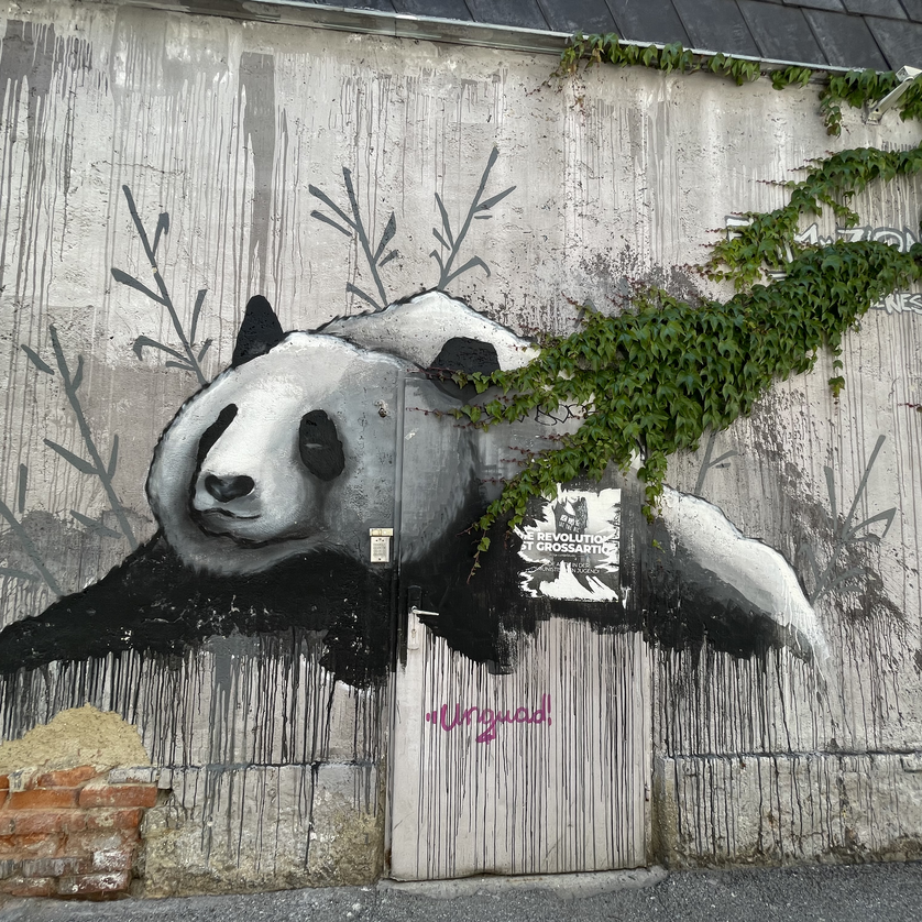 Griesviertel | © Anita Arneitz Griesviertel | © Anita Arneitz