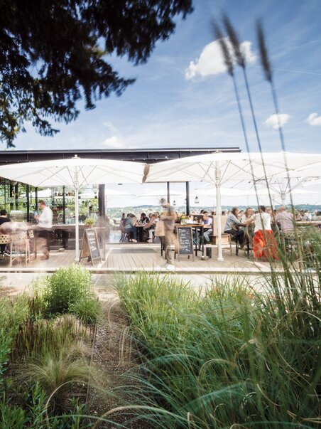Cozy terrace with guests, sun umbrellas, and beautiful plant landscape. | © aiola