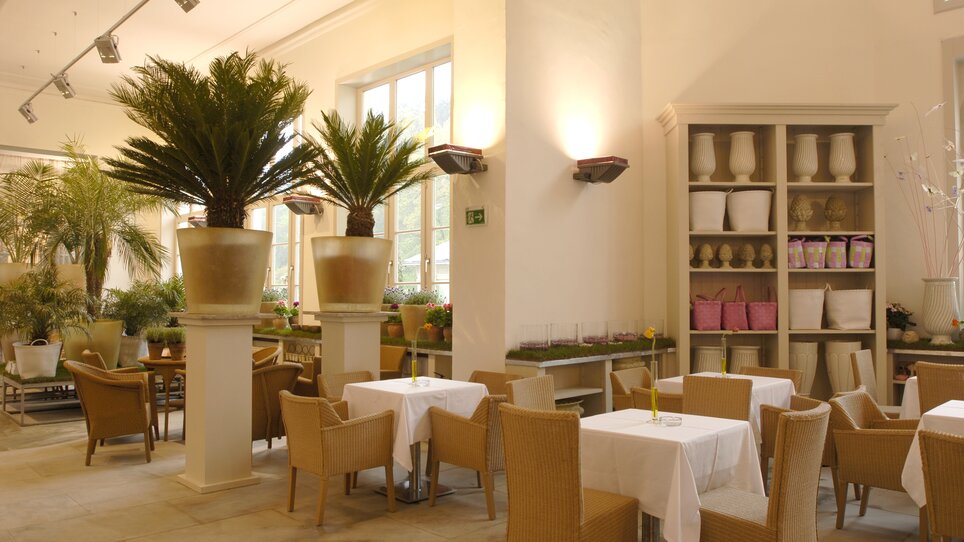 Interior of a stylish restaurant with plants and tables. | © Purberg