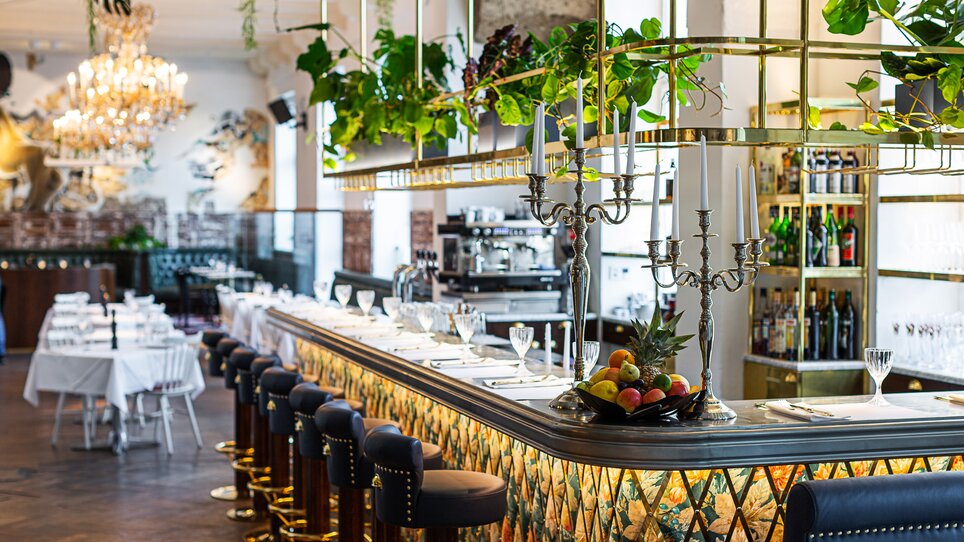 Elegant restaurant bar with plants and an inviting atmosphere. | © Florian Weitzer Hotels & Restaurants